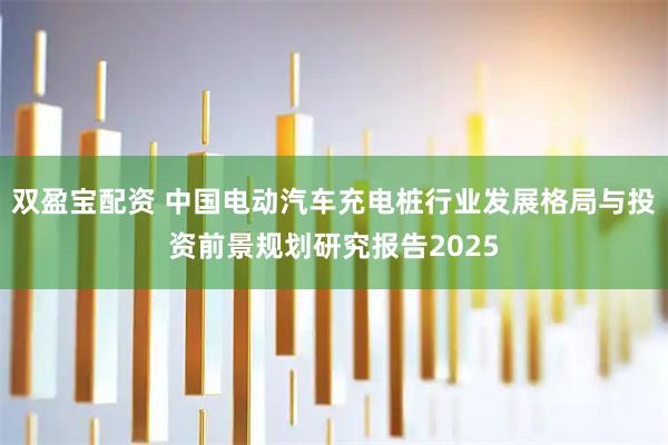 双盈宝配资 中国电动汽车充电桩行业发展格局与投资前景规划研究报告2025