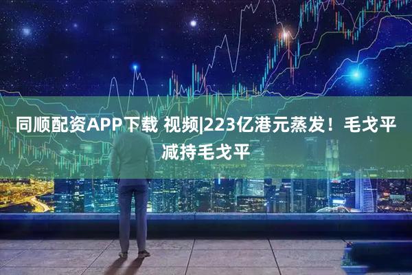 同顺配资APP下载 视频|223亿港元蒸发！毛戈平减持毛戈平