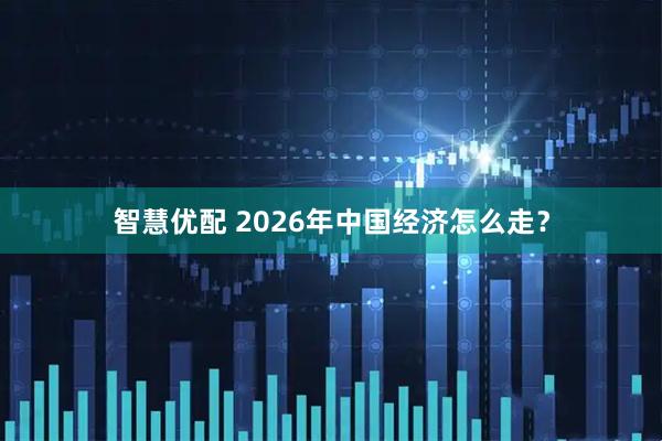 智慧优配 2026年中国经济怎么走？
