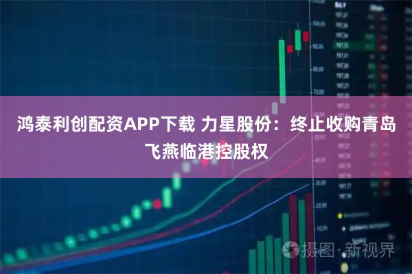 鸿泰利创配资APP下载 力星股份：终止收购青岛飞燕临港控股权